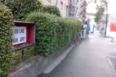 Tobias Berndt, Schaukasten, Hardstrasse Zürich, dezernat.ch